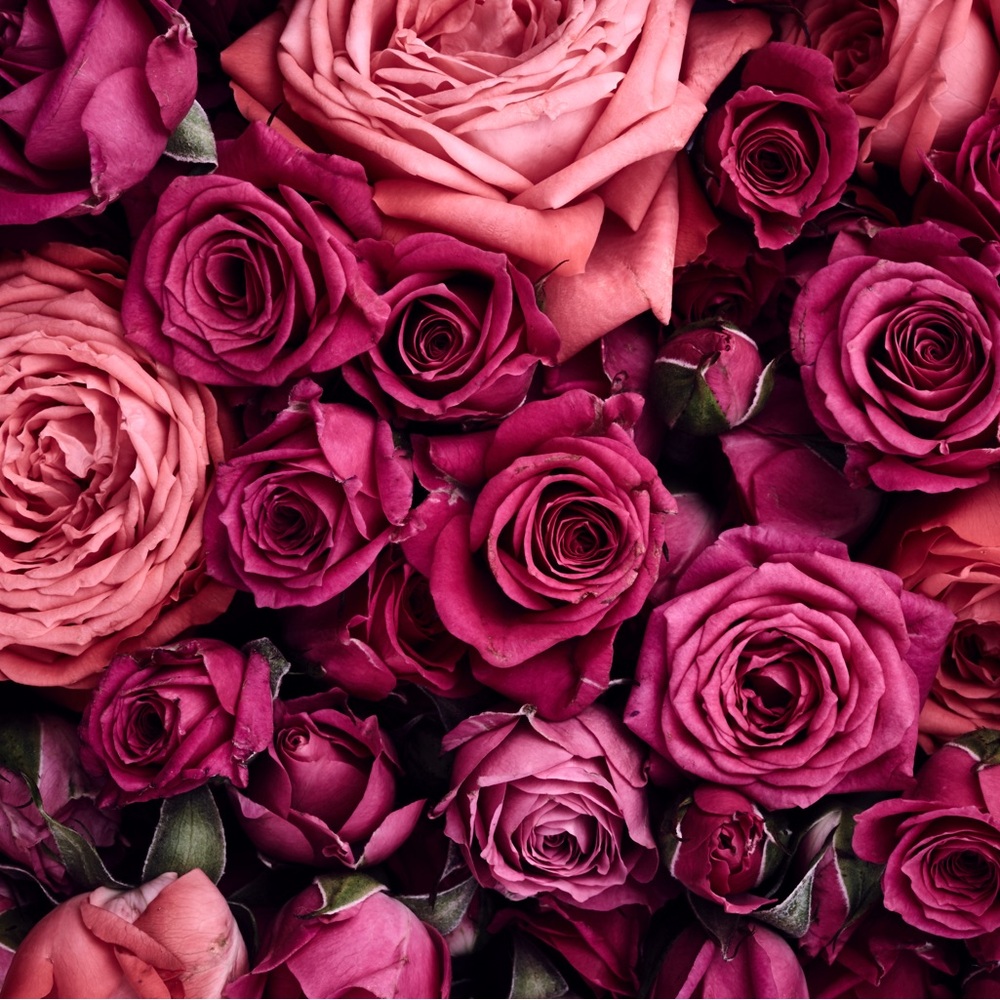 Meet your Posher, Ms Femininity (Eboney)